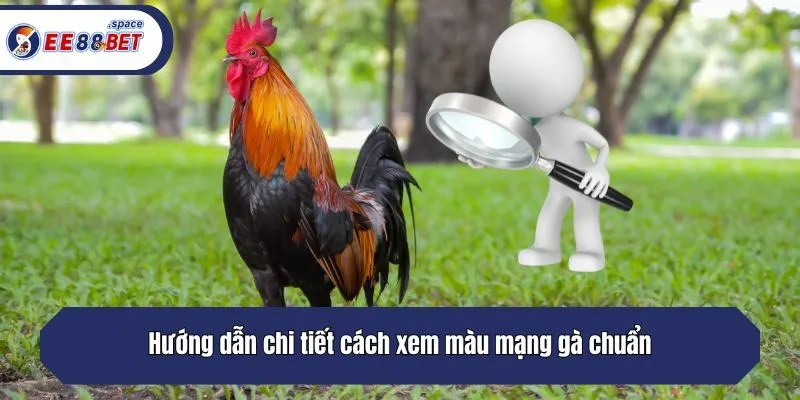 Hướng dẫn chi tiết cách xem màu mạng gà chuẩn