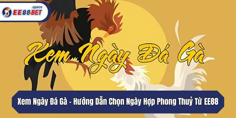 Xem Ngày Đá Gà - Hướng Dẫn Chọn Ngày Hợp Phong Thuỷ Từ EE88
